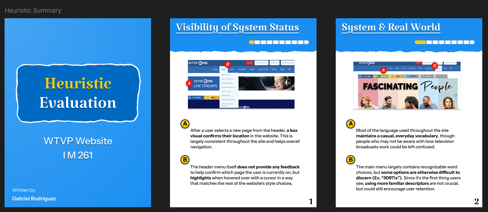 WTVP Site Heuristic Evaluation